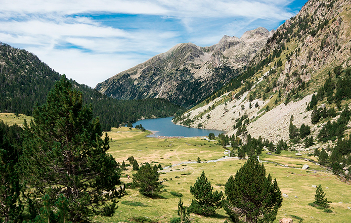 aliances de boda lleida